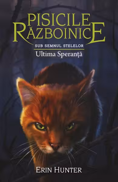 Ultima speranta