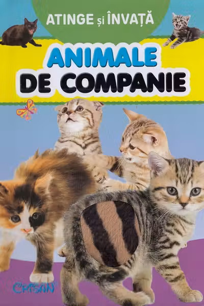 Atinge și învață. Animale de companie
