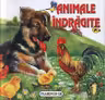 Animale indragite - pliata