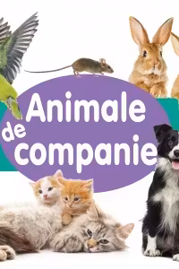 Animale de companie - CARTONATA