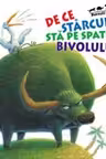 De Ce Starcul Sta Pe Spatele Bivolului?