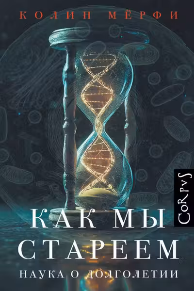Как мы стареем