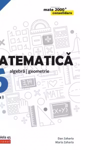 Matematica. Algebra, geometrie. Clasa a VI-a. Consolidare. Partea I (anul scolar 2019-2020)