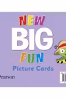 Big Fun Refresh Level 3 Picture Cards