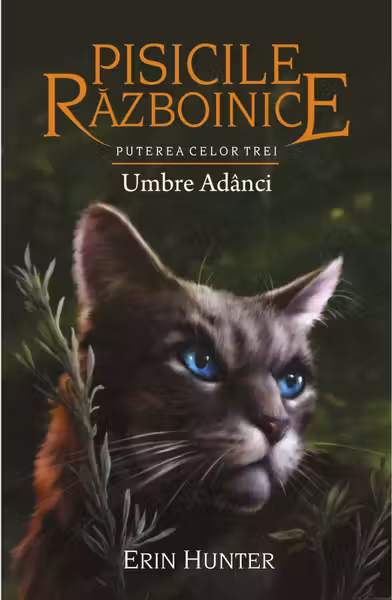 Pisicile Razboinice. Puterea celor trei. vol 17 Umbre Adanci