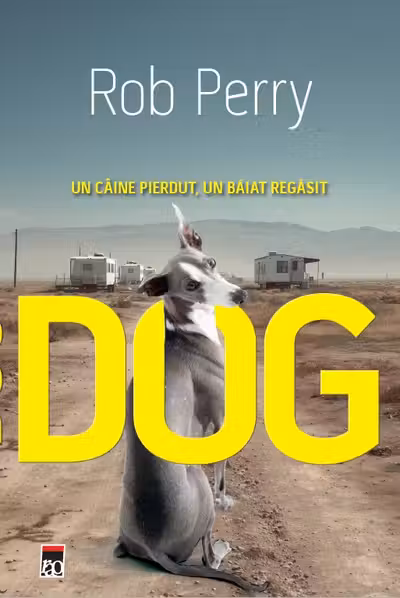 DOG. Un caine pierdut un baiat regasit