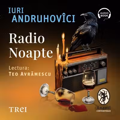 Radio Noapte (audiobook)