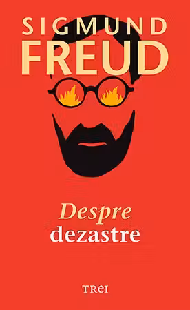 Despre dezastre