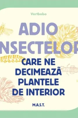 Adio insectelor care ne decimeaza plantele de interior
