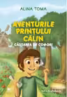 Aventurile Printului Calin. Cautarea de comori
