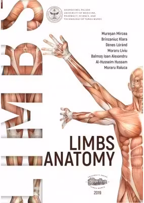 Limbs anatomy - Mircea Muresan