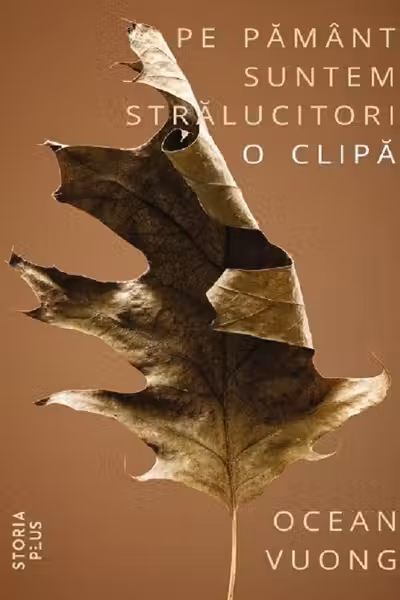 Pe pamant suntem stralucitori o clipa