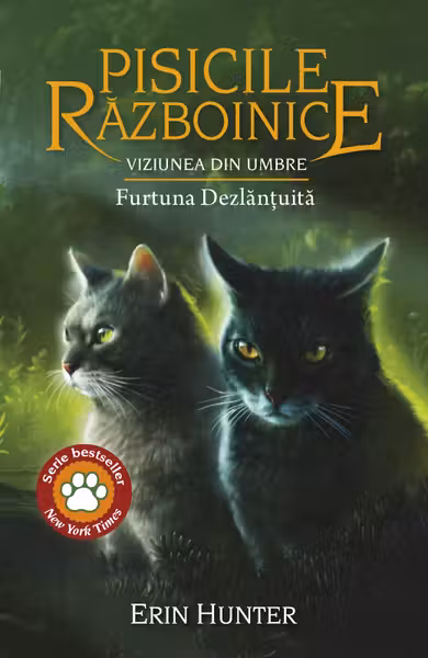 Viziunea din umbre - Furtuna Dezlantuita