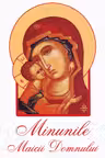 Minunile Maicii Domnului
