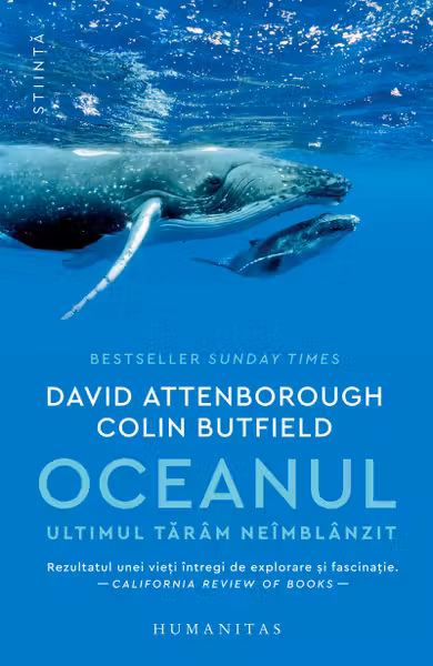 Oceanul
