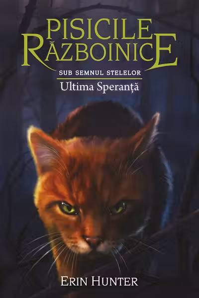 Ultima speranta