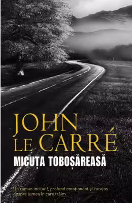 Micuta tobosareasa