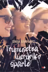 Frumusetea lucrurilor sparte