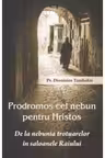 Prodromos cel nebun pentru Hristos. De la nebunia trotuarelor in saloanele Raiului