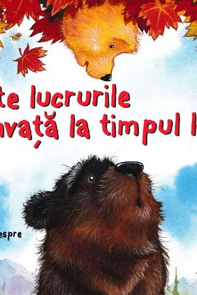 Toate lucrurile se învață la timpul lor