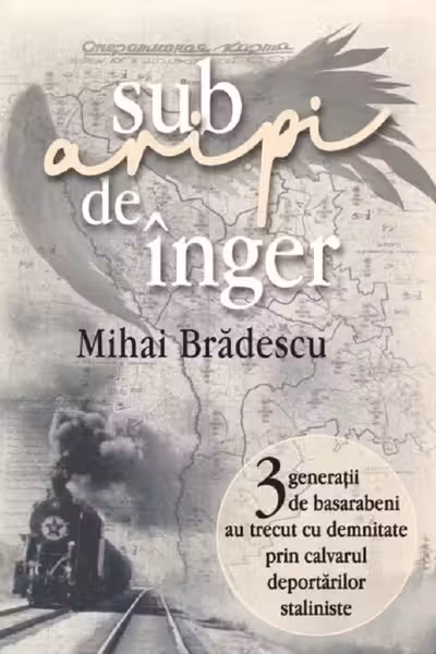 Sub aripi de inger