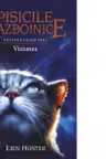 Viziunea