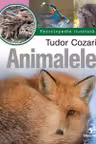 Animalele Enciclopedie ilustrata vol 2