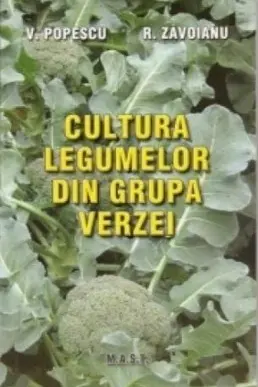Cultura legumelor din grupa verzei
