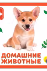 Домашние животные. (Книжки на пене)