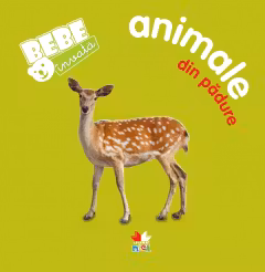 Bebe invata: Animale din padure