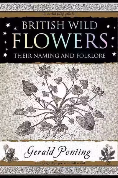 British Wild Flowers