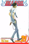 Bleach Vol. 21