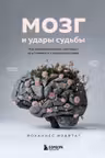 Мозг и удары судьбы. Как запрограммировать свой разум на устойчивость к любым испытаниям