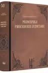 Principiile procedurii judiciare