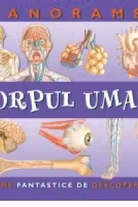 Corpul uman