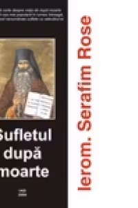 Sufletul dupa moarte. Experiente contemporane dupa moarte in lumina invataturii ortodoxe despre viata de dincolo