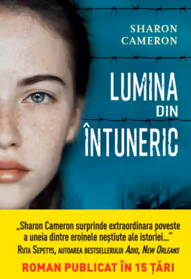 LUMINA DIN INTUNERIC.