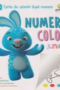 NumeroColor • Junior
