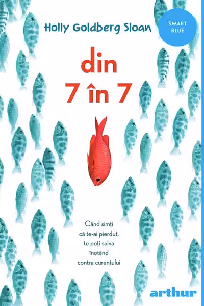 Din 7 in 7