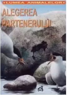 Lumea animalelor - Alegerea partenerului