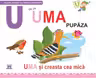 U de la Uma, pupaza. Necartonata - Greta Cencetti