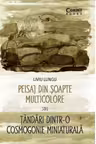 Peisaj din soapte multicolore sau Tandari dintr-o cosmogonie miniaturala