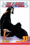 Bleach Vol. 37