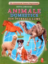 Animale domestice din intreaga lume fise
