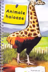 Animale haioase