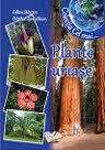 Plante uriașe