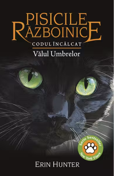 Codul Incalcat