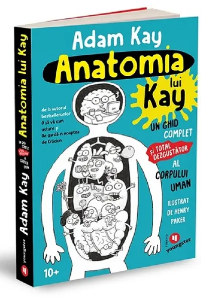 Anatomia lui Kay