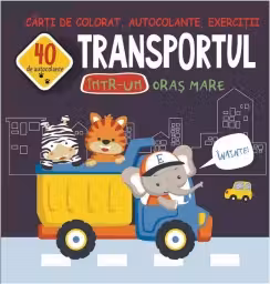 Transportul intr-un oras mare