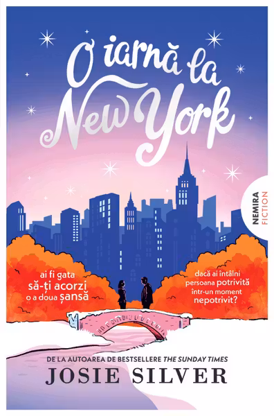 O iarna la New York